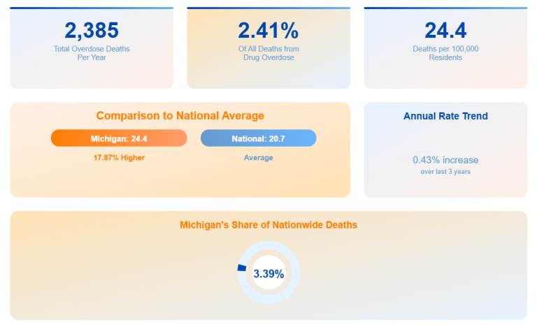 Michigan drug problem